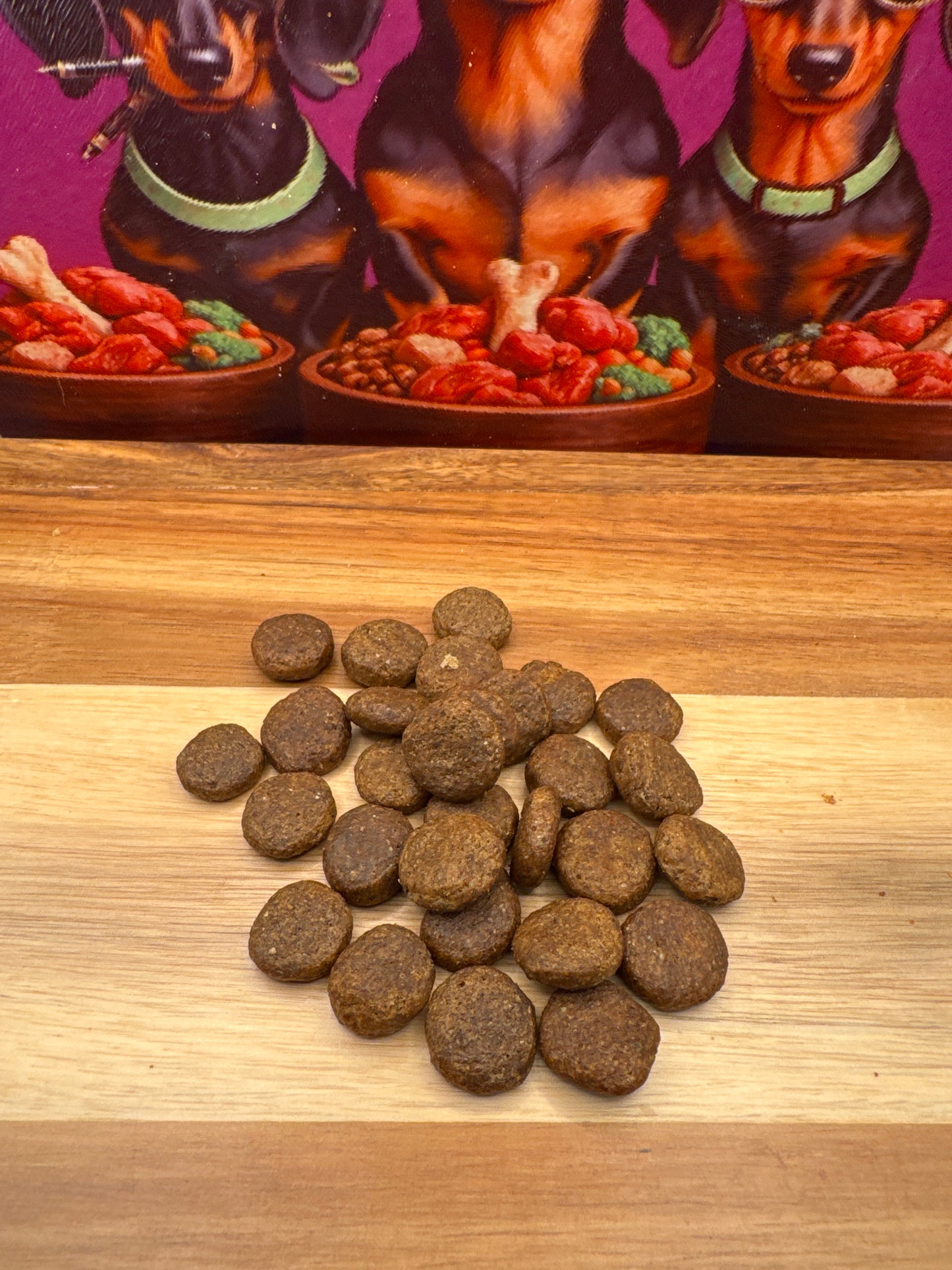 Insect Protein Nibbles for Dogs